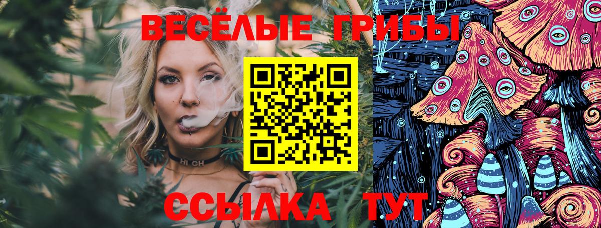 Ухта  Псилоцибиновые грибы прущие грибы  Вход с VPN 