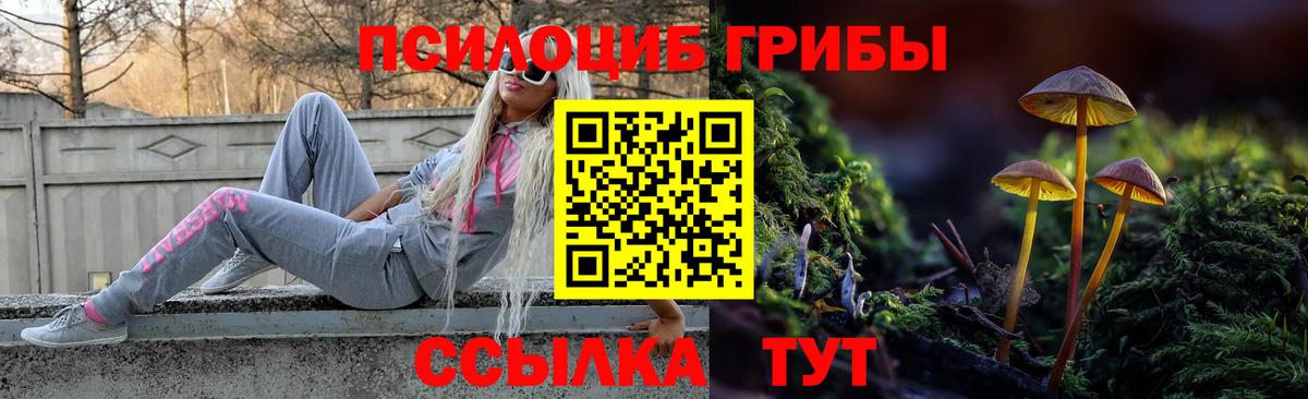 Псилоцибиновые грибы GOLDEN TEACHER Ухта